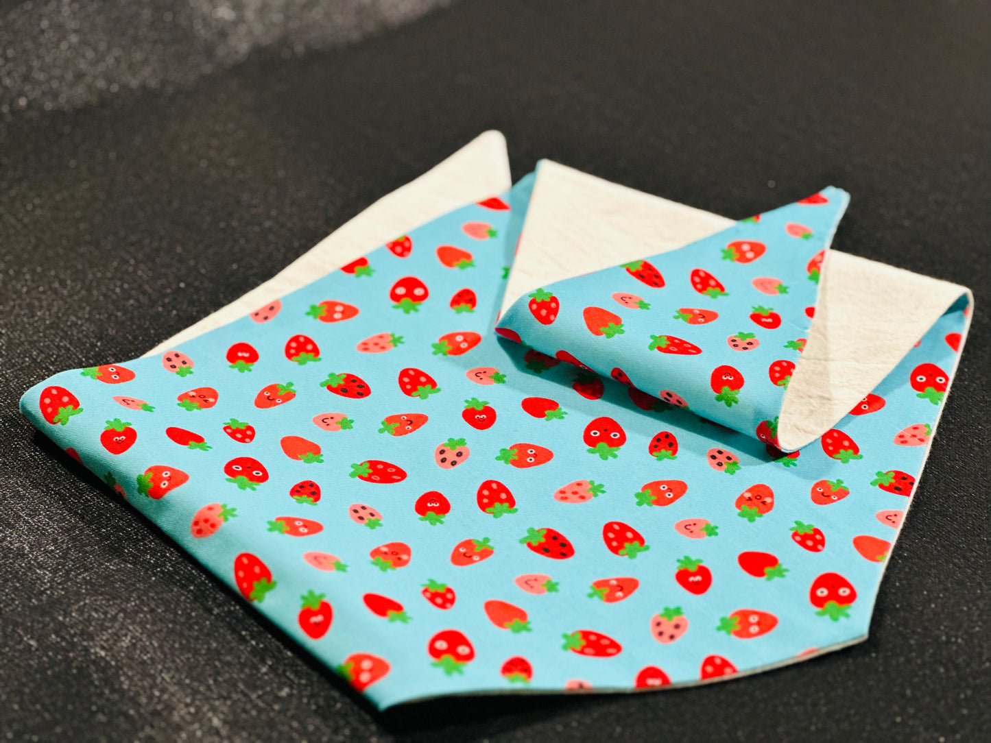 Doggy Hankie - Fruits (Large)